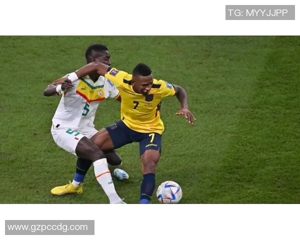 2017年巴西与荷兰激战回顾足球盛宴中的精彩瞬间与战术分析